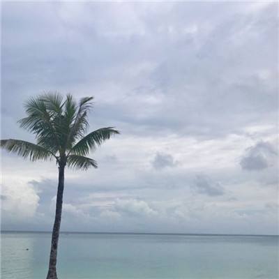 永恒龙骑九游版下载
