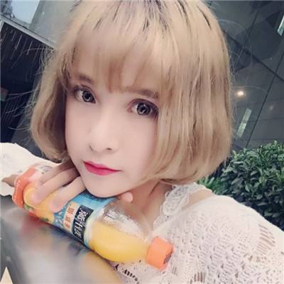 堕落骑士官方下载